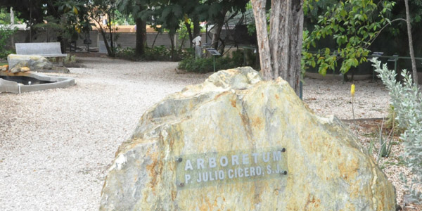 arboretum-1.jpg